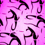 pattern08
